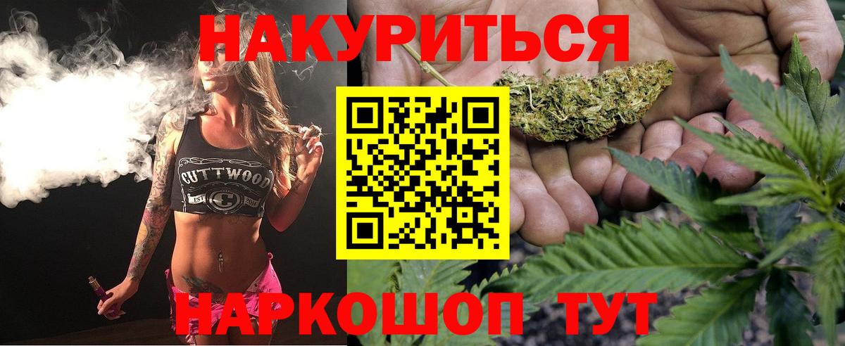 Шишки марихуана планчик Сунжа
